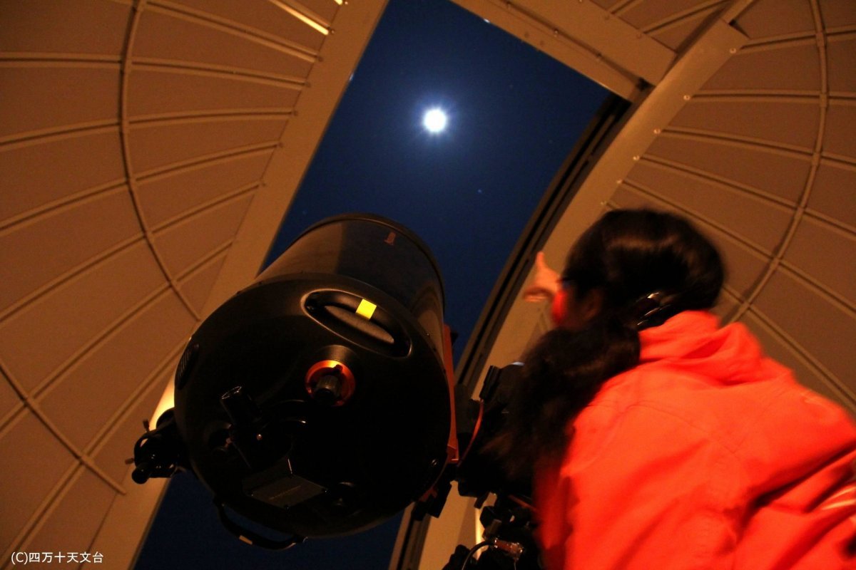 🏯 시만토시 향토 박물관(시만토시 쿄도 하쿠부츠칸) 이미지 6